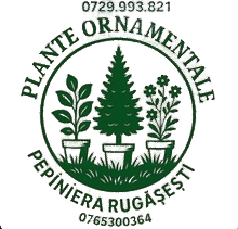 Plante Ornamentale 2025